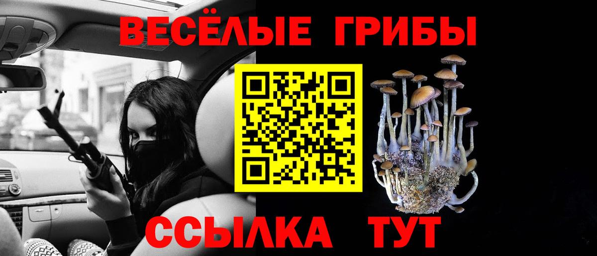 Галлюциногенные грибы мицелий Ессентуки