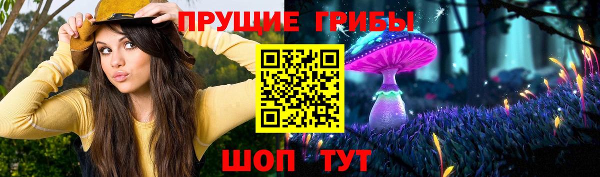 Псилоцибиновые грибы Psilocybine cubensis  Вход с VPN  Ессентуки 