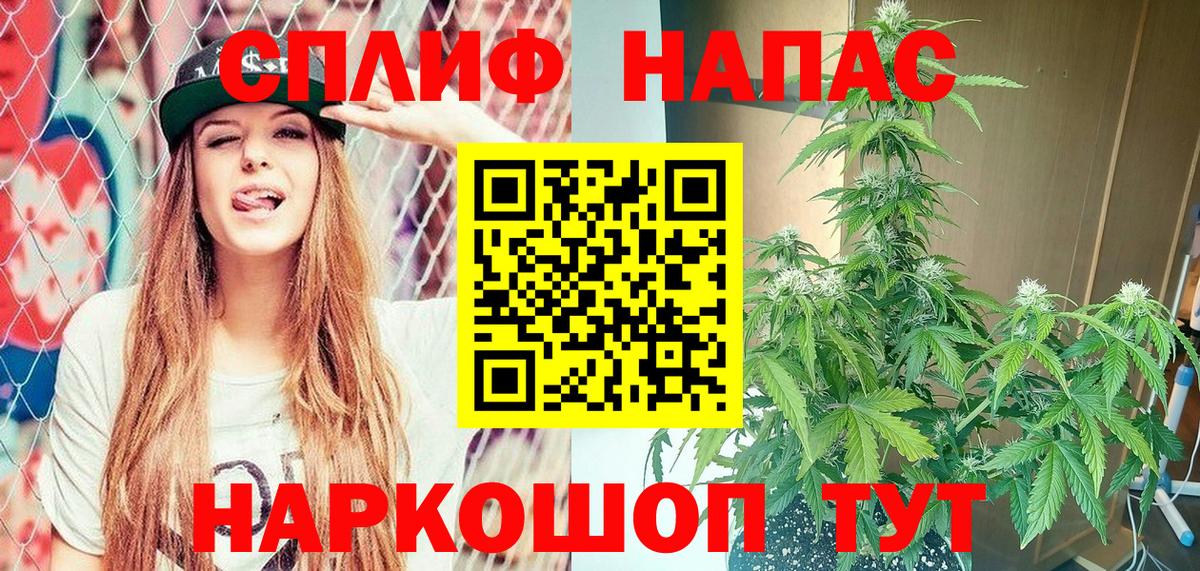 Шишки марихуана конопля Ессентуки